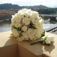 部屋からのアルノ川