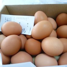 目玉商品：新鮮な無農薬卵の大人買い！