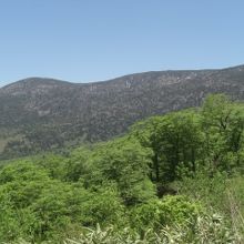 白布峠付近から吾妻山を臨む