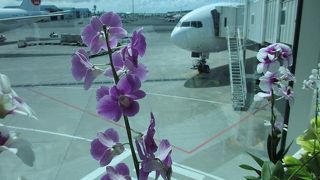 花に囲まれた空港