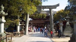 最後は神頼み？