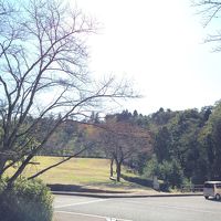 広い原っぱ？公園？