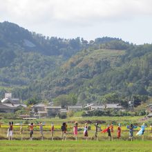 嵯峨野の畑に並んだ案山子。