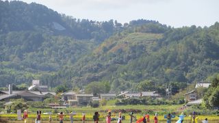児神社の裏の田んぼに案山子がずらり。