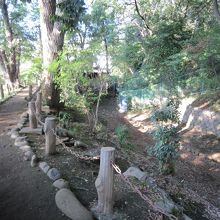 公園5