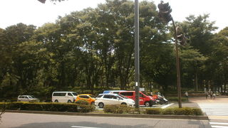 緑ｶﾞいっぱい