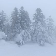 冬山の景色です。樹氷にはなっていません。