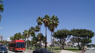ロングビーチの主要観光地を巡る無料バス