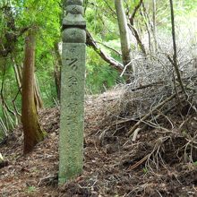 これが町石です。よく見ると数字が彫られています。