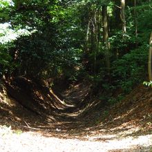 トトロに出てきそうな道ですね
