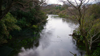 国一の喧噪から一転、豊かな自然