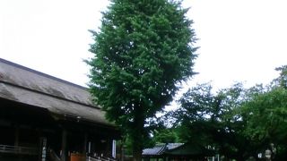 緑が多く広い敷地です。