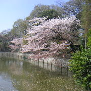 公園らしい公園。