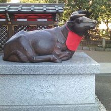 頭を撫でて智慧を授かりましょうね（笑）