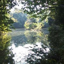 池の辺にいると大学構内であることを忘れてしまいます