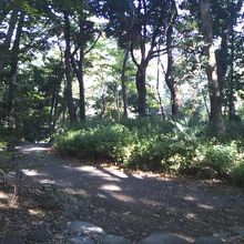 静かな遊歩道の様子