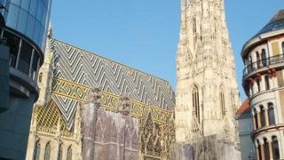 見るところだらけ