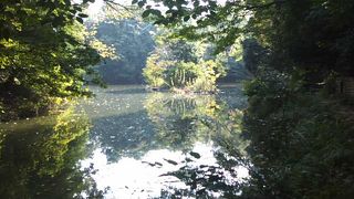 普通に自然散策を楽しむのに良い所です