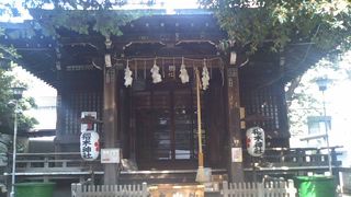 何故か烏骨鶏が飼育されていました