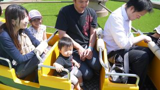 子供から大人まで楽しめる