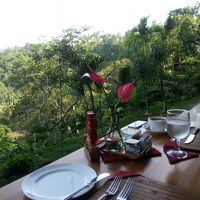 朝食の時のレストランからの眺め