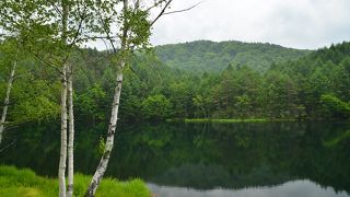 東山魁夷さんの絵で有名な”ため池”