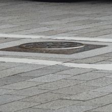 これが橋の上の本物。望遠で。