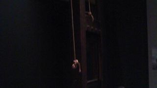 明治大学らしい博物館です