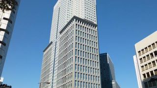 青空を背景に映えます