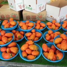 筆柿が有名です