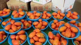 紅葉の季節がお勧め！