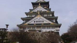 春は梅がきれいです！