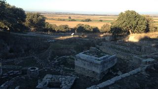 保存状態が悪い