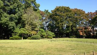 今は普通の公園