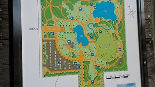 街中の広々とした公園