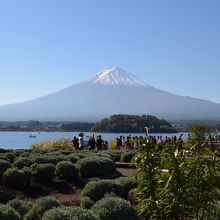 絶景の富士山