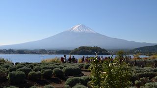 ここから見る富士山は絶景です