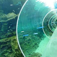 まるで海の中を歩いているみたい。