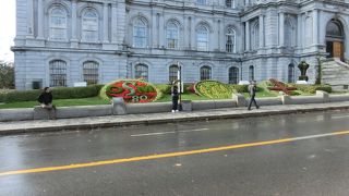建物の前の花壇の花がとても綺麗でした