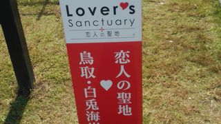 日本海の荒波を