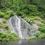 奥入瀬の車道にある滝