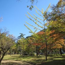 樗谿公園入り口付近