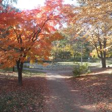 紅葉に染まるキャンパス