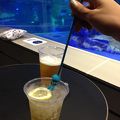 すみだ水族館内にあるカフェテリア