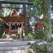 巨大な楠に囲まれた神社