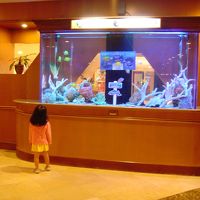 フロントの横にある水槽