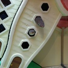 あなごですよ！