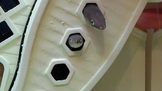 おもしろ水族館