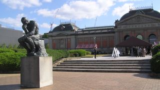 兎と蛙さんは、どんなお話をしているのでしょう！