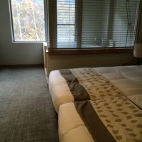 日本では斬新な設計の客室。でも最高です。